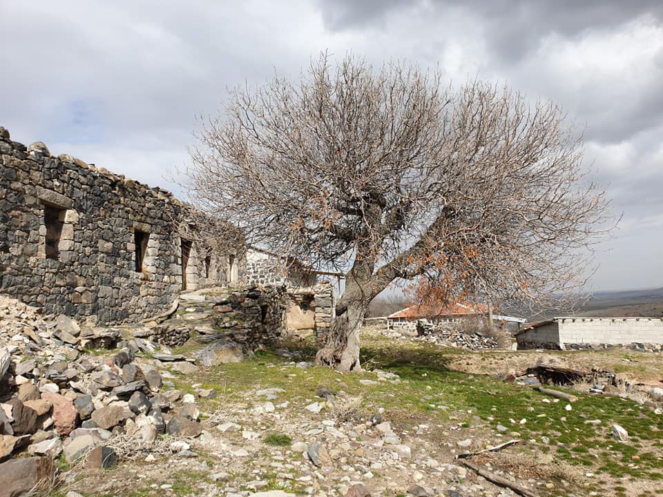 Emirgazi Meşeli Köyü Resimleri 7