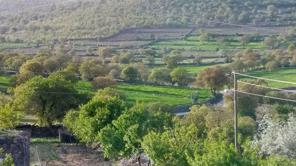 Emirgazi Öbektaş Köyü Resimleri 6