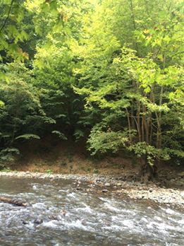 Hendek Kadifekale Köyü Resimleri 4