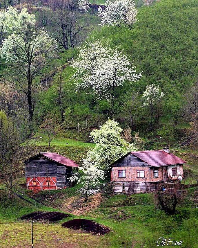 Hendek Kadifekale Köyü Resimleri 7