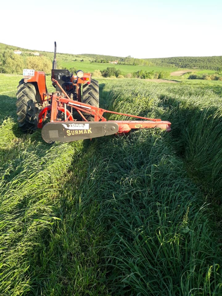 Havza Kemaliye Köyü Resimleri 2