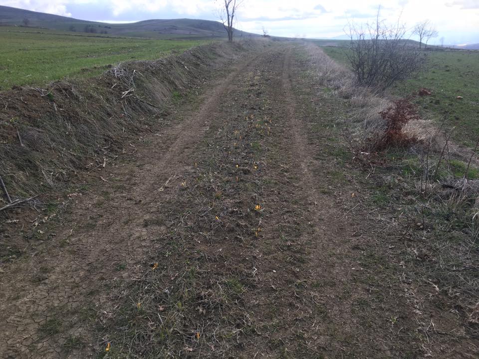 Havza Kemaliye Köyü Resimleri 7