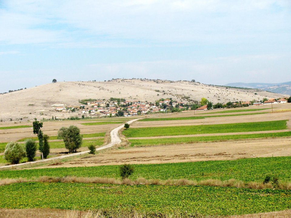 Havza Kocaoğlu Köyü Resimleri 1