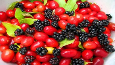 Havza Kocaoğlu Köyü Resimleri 2