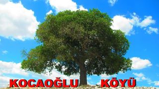 Havza Kocaoğlu Köyü Resimleri 3