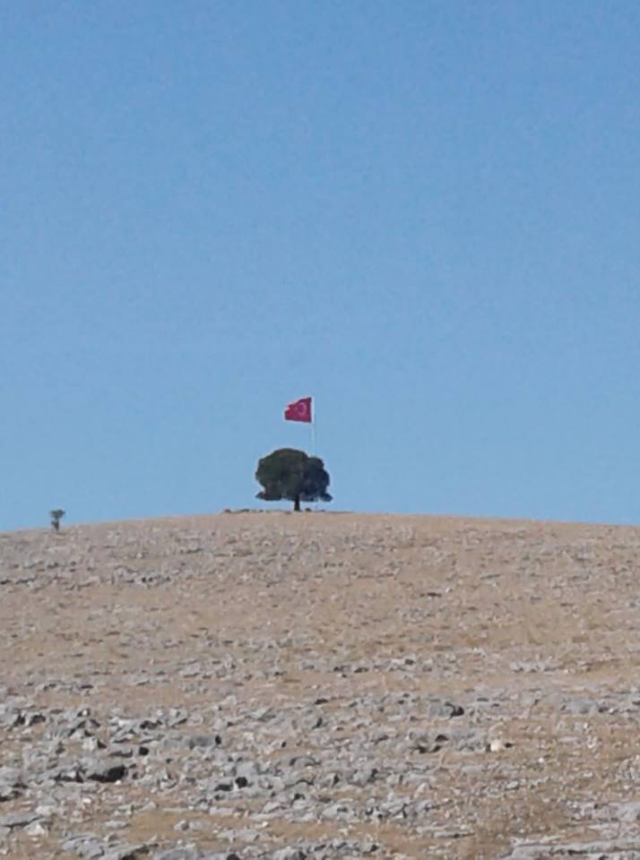 Havza Kocaoğlu Köyü Resimleri 7