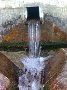 Havza Kocapınar Köyü Resimleri 6