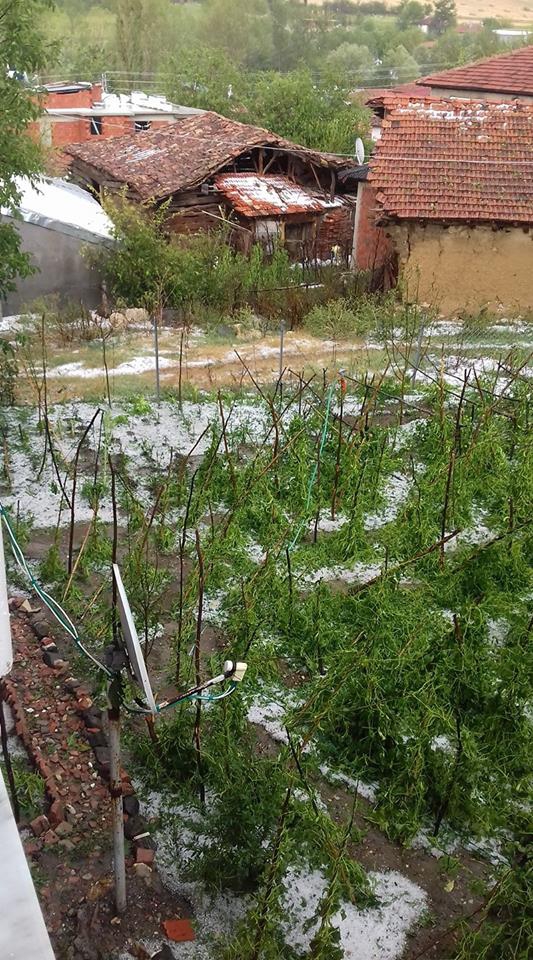 Havza Mürsel Köyü Rsimleri 1