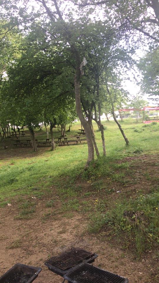 Havza Mürsel Köyü Rsimleri 7