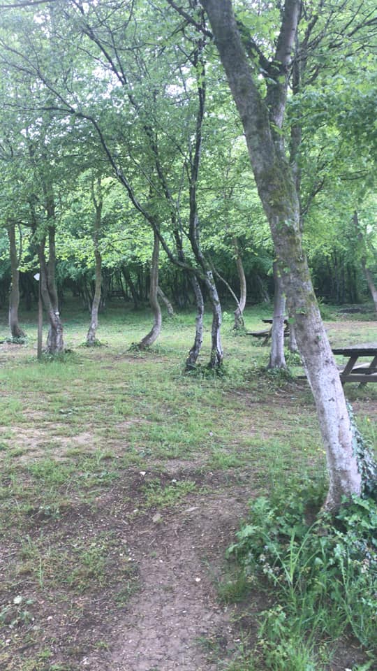 Havza Mürsel Köyü Rsimleri 8