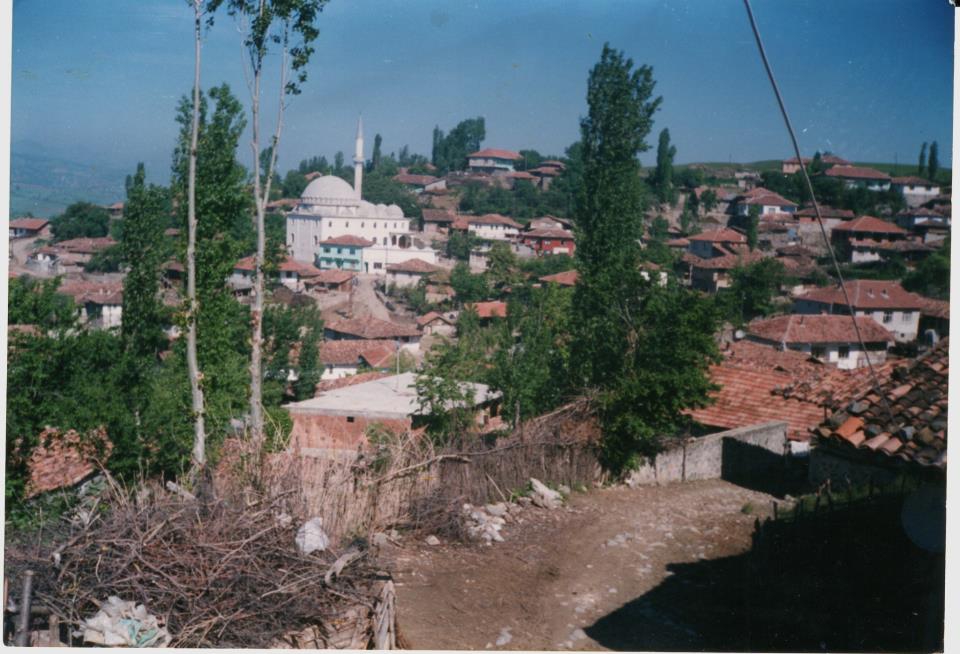 Havza Ortaklar Köyü Resimleri 3