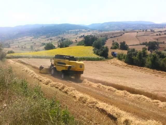 Havza Ortaklar Köyü Resimleri 8