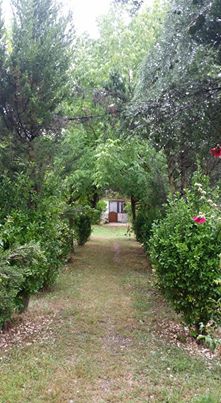 Hendek Kalayık Köyü Resimleri 1