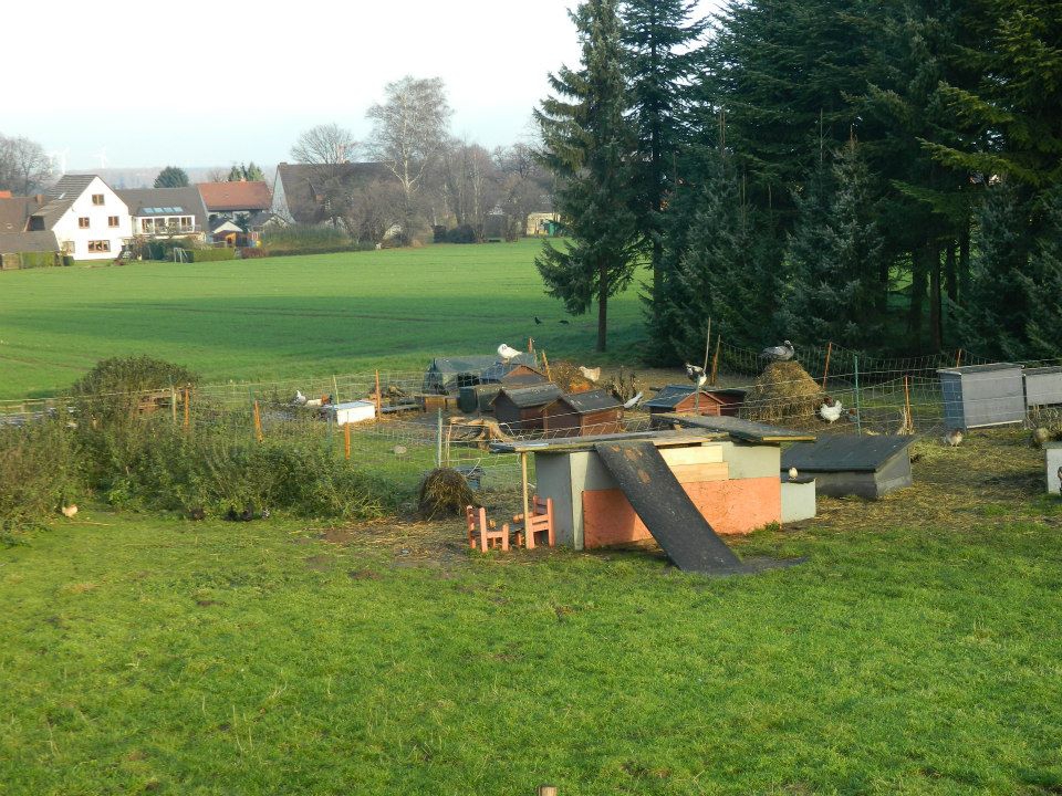 Hendek Kalayık Köyü Resimleri 3