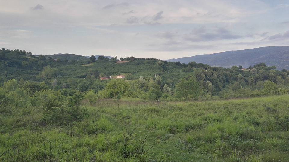 Hendek Kalayık Köyü Resimleri 5