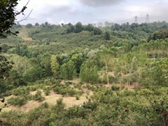 Hendek Kalayık Köyü Resimleri 6