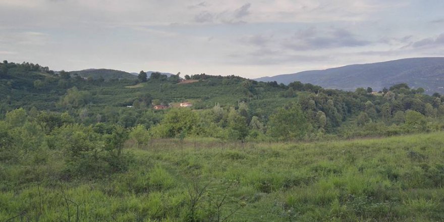 Hendek Kalayık Köyü Resimleri