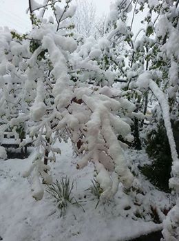Hendek Karadere Köyü Resimleri 2