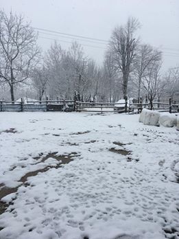 Hendek Karadere Köyü Resimleri 3