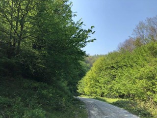 Hendek Karadere Köyü Resimleri 4