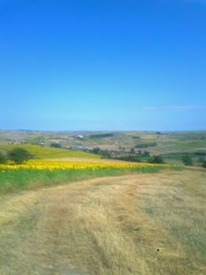 Havza Yenice  Köyü Resimleri 9