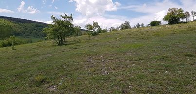 Kavak Ağcakese Köyü Resimleri 2