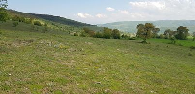 Kavak Ağcakese Köyü Resimleri 3