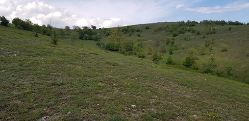 Kavak Ağcakese Köyü Resimleri 4