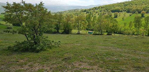 Kavak Ağcakese Köyü Resimleri 5