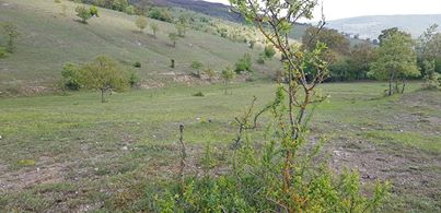 Kavak Ağcakese Köyü Resimleri 7