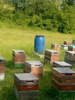 Kavak Ahırlı Köyü Resimleri 10