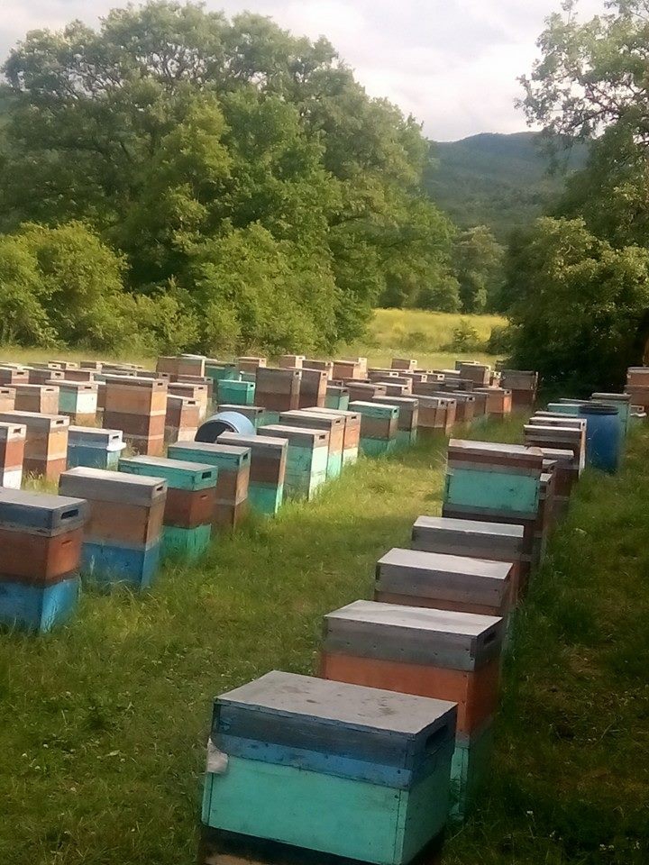 Kavak Ahırlı Köyü Resimleri 11