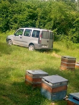 Kavak Ahırlı Köyü Resimleri 8