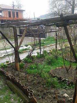 Hendek Karatoprak Köyü Resimleri 2