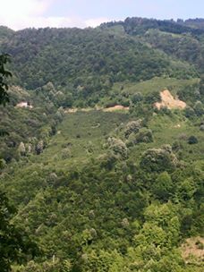 Hendek Karatoprak Köyü Resimleri 4