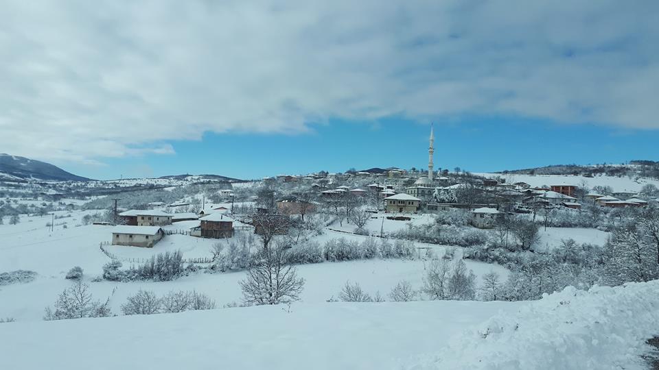 Kavak Alaçam Köyü Resimleri 7