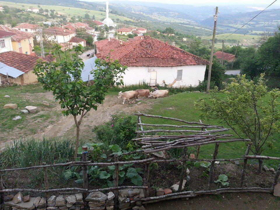 Kavak Alaçam Köyü Resimleri 8
