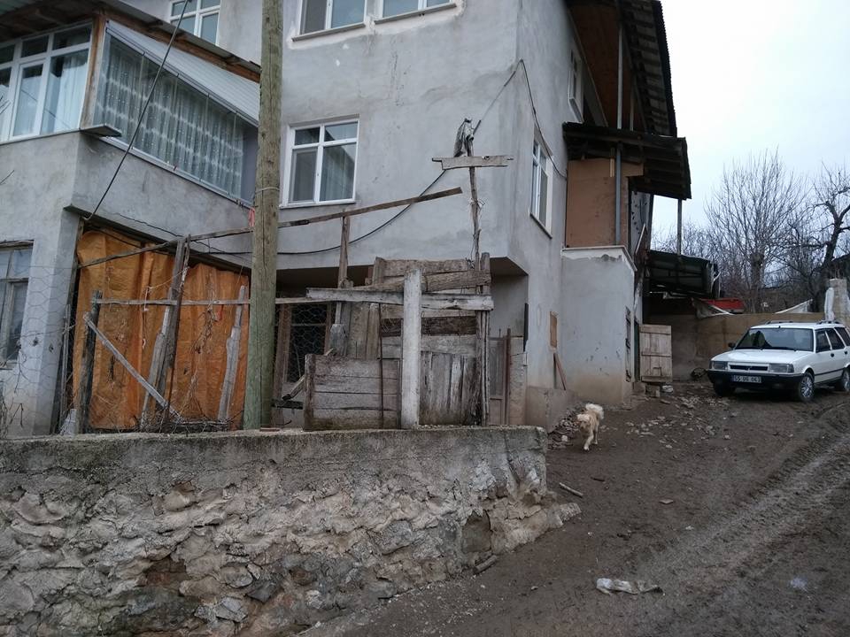 Kavak Alaçamderesi Köyü Resimleri 6