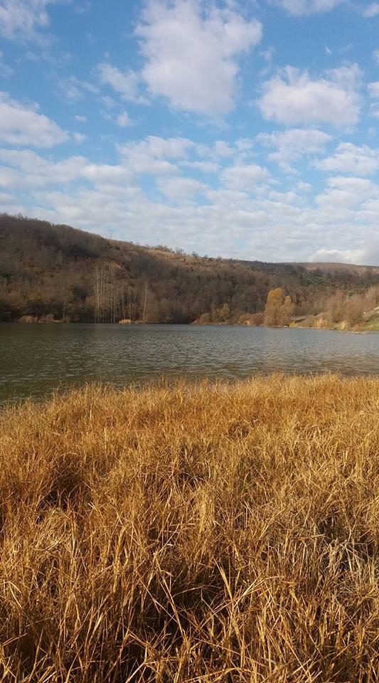 Kavak Alaçamderesi Köyü Resimleri 8