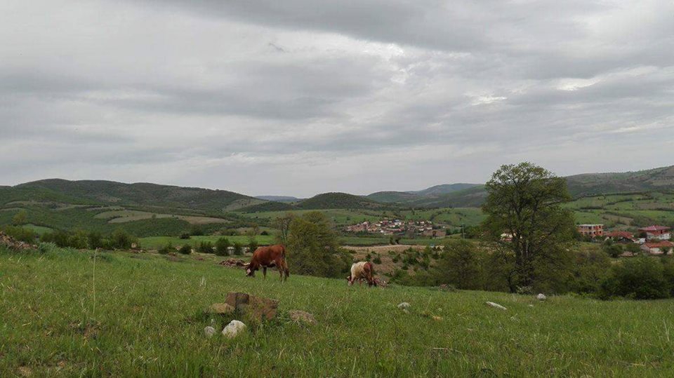 Kavak Alagömlek Köyü Resimleri 6