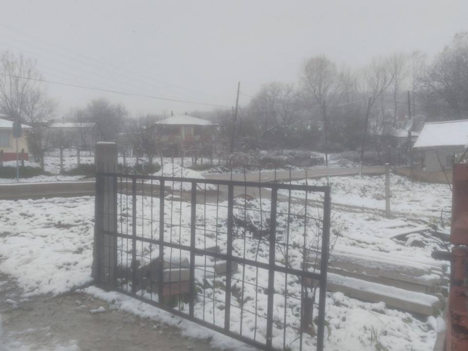 Kavak Atayurt Köyü Resimleri 1