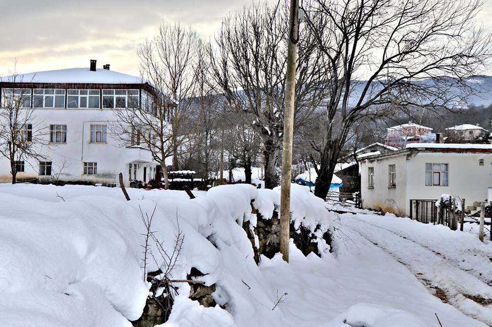 Kavak Atayurt Köyü Resimleri 6