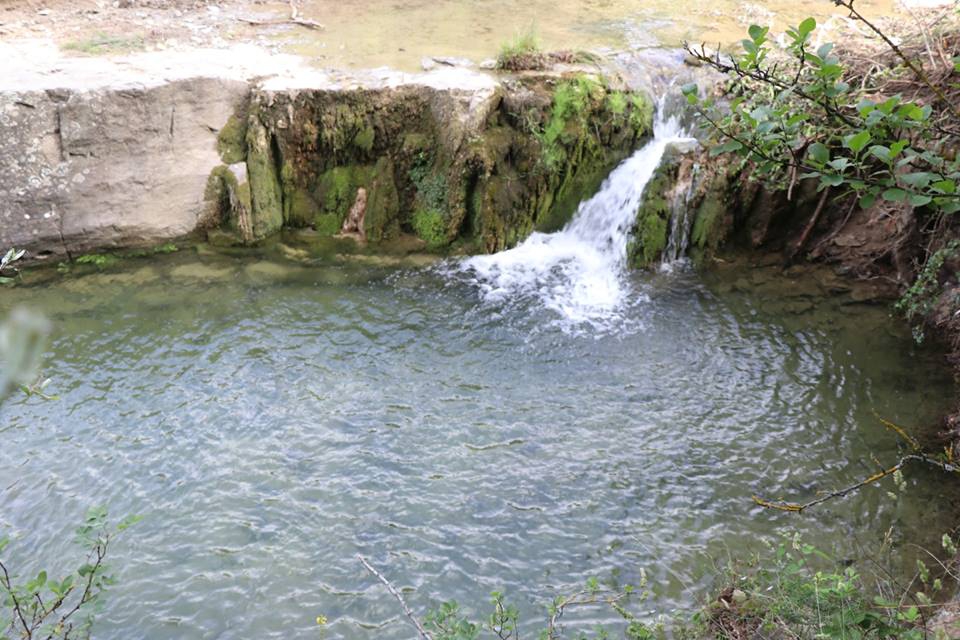 Kavak Atayurt Köyü Resimleri 9