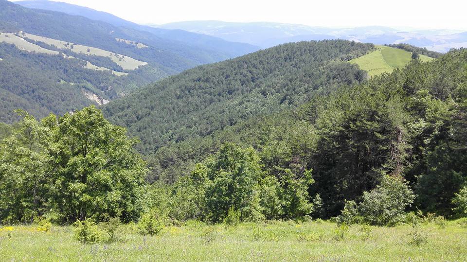 Kavak Ayvalı Köyü Resimleri 10