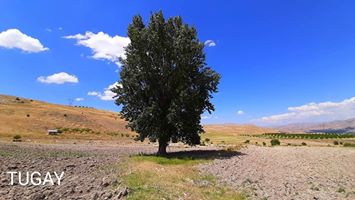 Kavak Ayvalı Köyü Resimleri 2