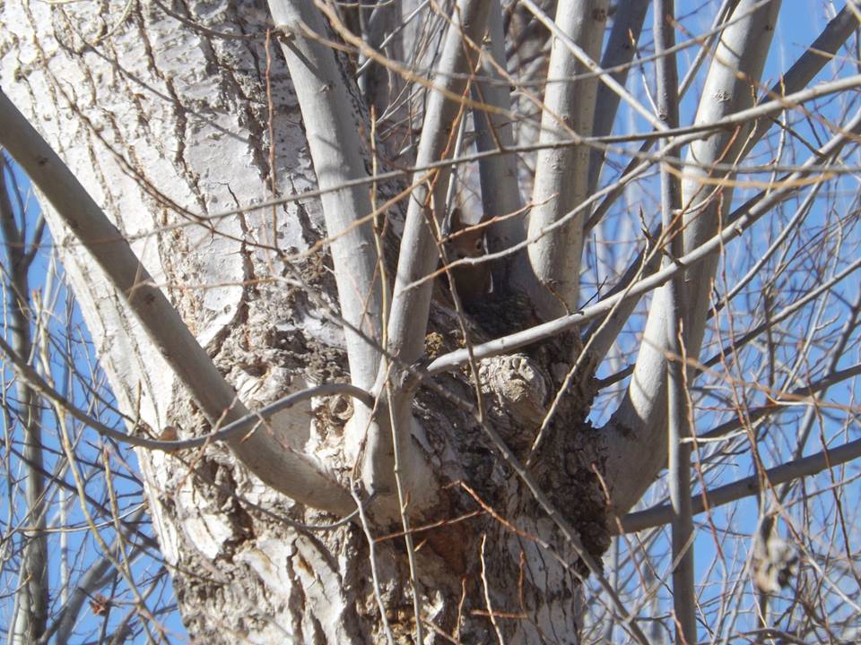 Kavak Ayvalı Köyü Resimleri 4