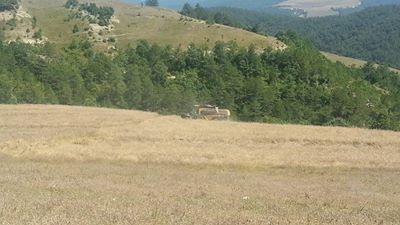 Kavak Ayvalı Köyü Resimleri 5