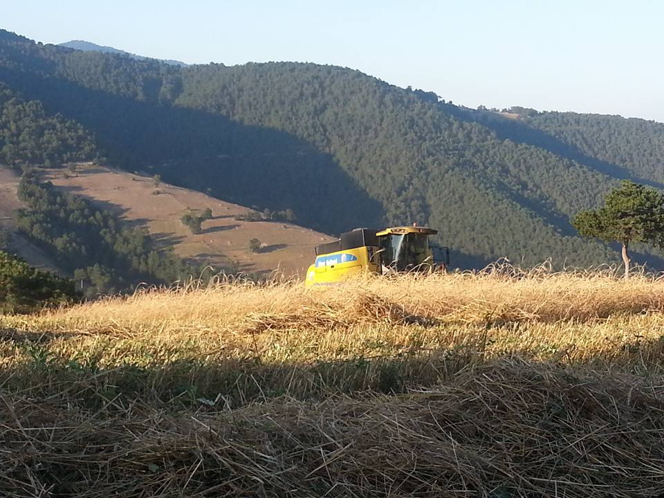 Kavak Ayvalı Köyü Resimleri 6