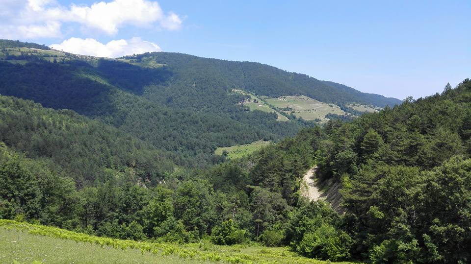 Kavak Ayvalı Köyü Resimleri 8