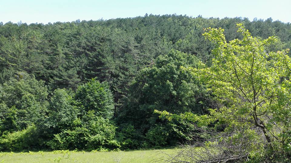 Kavak Ayvalı Köyü Resimleri 9